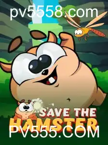 Descubra o Universo do Jogo SavetheHamster