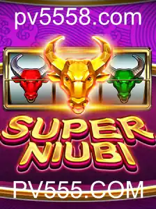Descobrindo SuperNiubi: Uma Experiência de Jogo Revolucionária